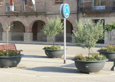 Corporación Municipal