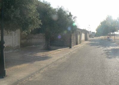 Galería de Imágenes 01